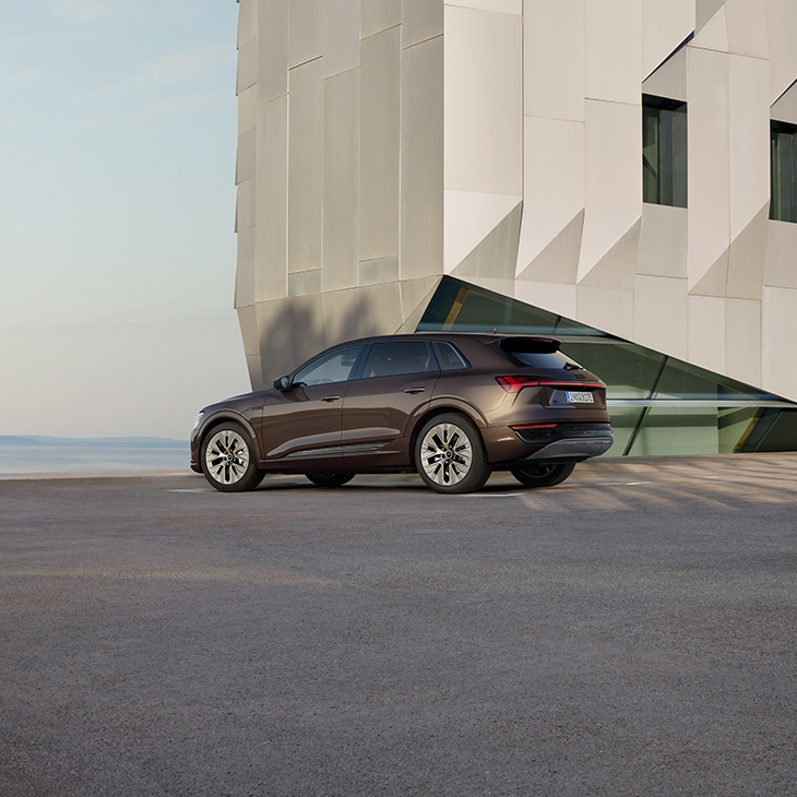 Foto del Audi Q8 e-tron de segunda mano. 